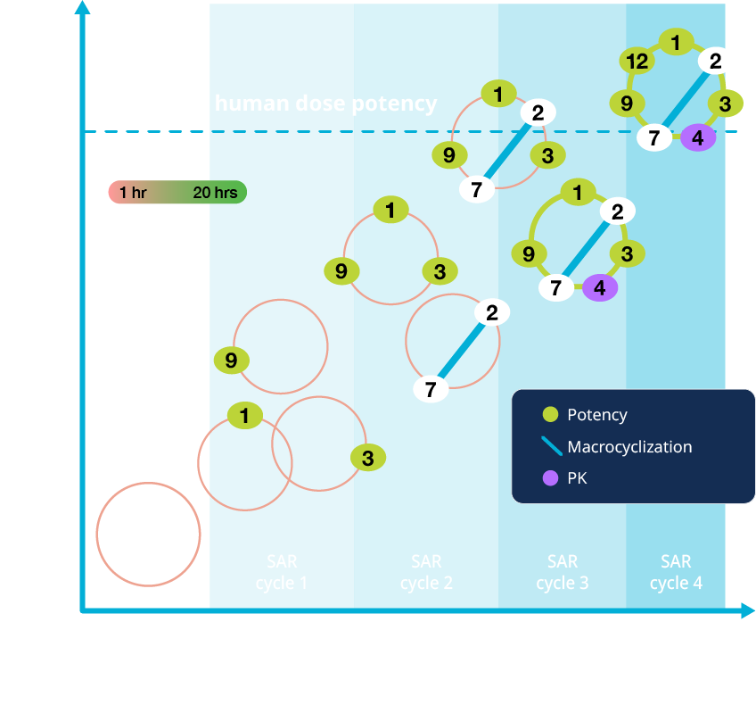 Chem Infographic SAR-Evol
